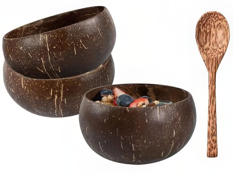 Fábrica de Cuencos Personalizados de Cáscara de Coco