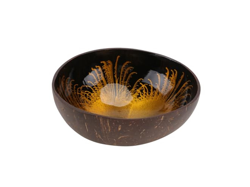 Forros de Banneton para Cuencos de Cocina de Plástico Cuenco de Coco y Set de Cucharas para Smoothie
