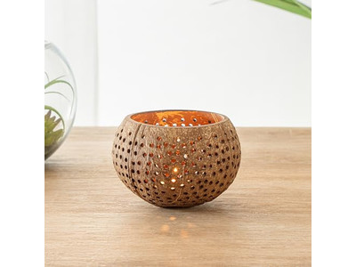 Cuenco de Coco Envío Gratis Laca Blanca Natural Jumbo Pulido Sets
