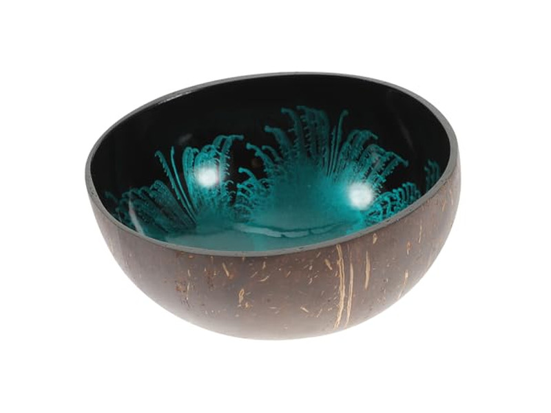 Cuencos de Coco para Acai Shell Sala Contenedor de Llave de Concreto Mini Set