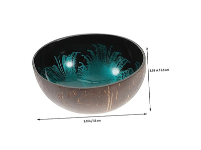 Cuencos de Coco para Acai Shell Sala Contenedor de Llave de Concreto Mini Set