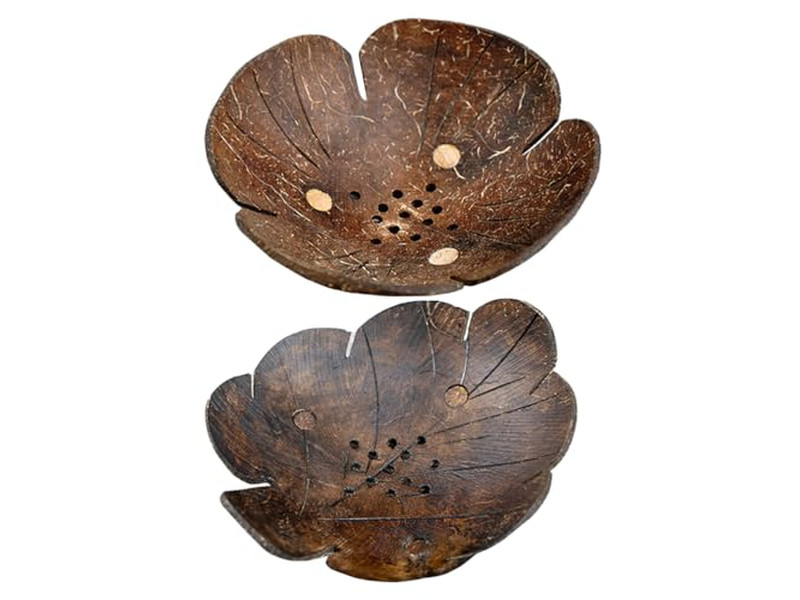 Decoración de Cáscara de Coco Marrón con Cuenco de Salsa Creativa