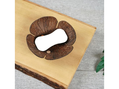 Decoración de Cáscara de Coco Marrón con Cuenco de Salsa Creativa