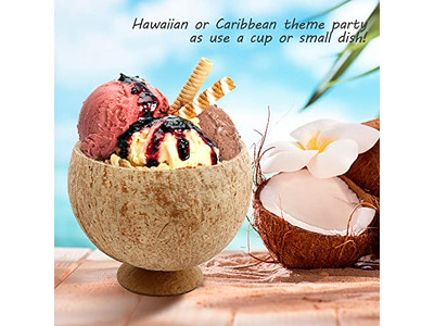 Producto de Cáscara de Coco Platos de Aperitivos Cuchara Vietnam Cuenco Grande Tamaño Propio Logo
