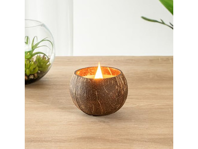 Coconuts Orgánicos Frescos Vendiendo Cáscaras de Coco Cuenco Coco Hecho a Mano Cera