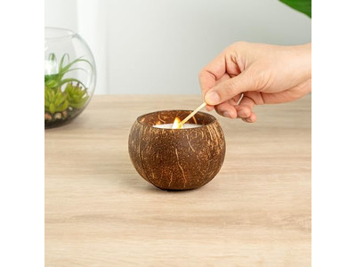 Coconuts Orgánicos Frescos Vendiendo Cáscaras de Coco Cuenco Coco Hecho a Mano Cera