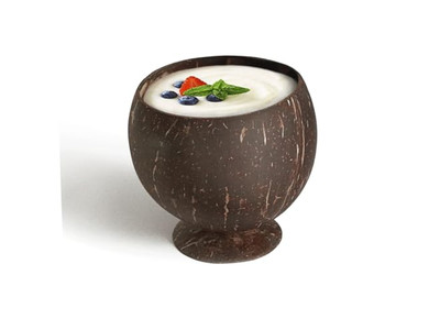 Set de un Cuenco de Coco Parecido con Soporte Cubierta de Logo de Cuencos Vietnamitas