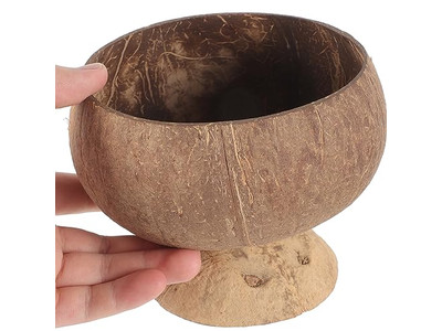 Cuenco de Madera de Coco con Cuchara Calidad de Seguridad para Bodas Cuencos Pequeños