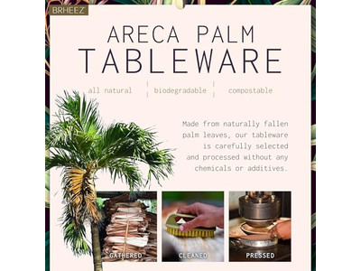 Cuenco de Coco Vegano con Soporte Tronco Natural Precios Baratos Cuencos en Vietnam